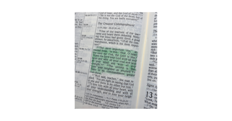 Funny Shayari That Makes Everyday Life Lighter With Laughter and Relatable Humor